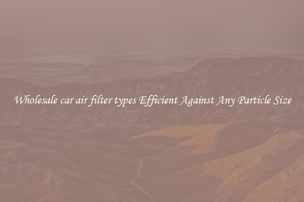 Wholesale car air filter types Efficient Against Any Particle Size