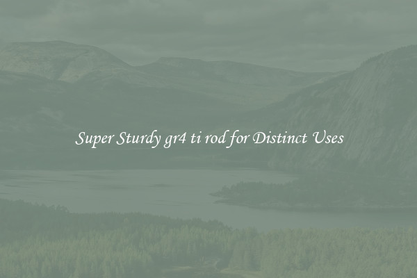 Super Sturdy gr4 ti rod for Distinct Uses
