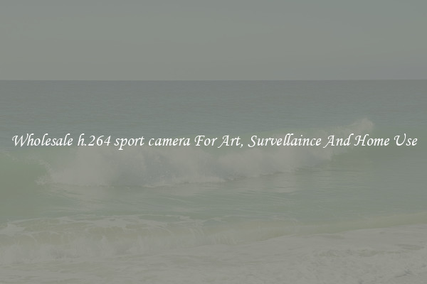 Wholesale h.264 sport camera For Art, Survellaince And Home Use