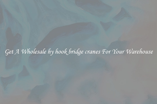 Get A Wholesale hy hook bridge cranes For Your Warehouse