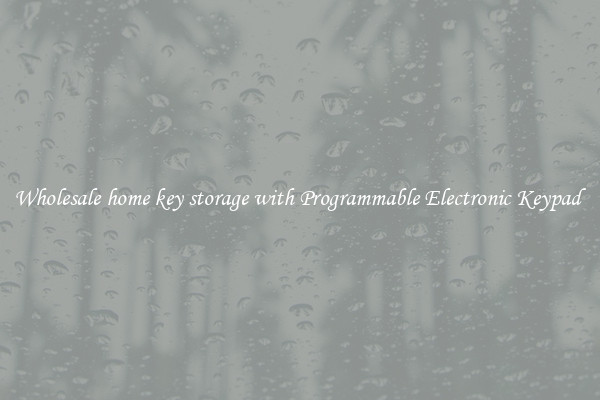 Wholesale home key storage with Programmable Electronic Keypad 