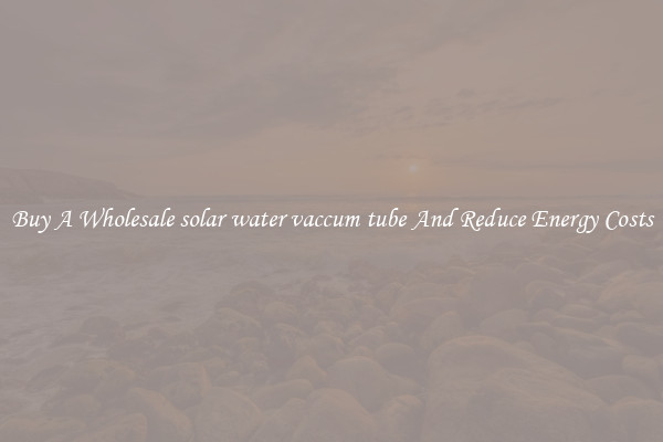 Buy A Wholesale solar water vaccum tube And Reduce Energy Costs