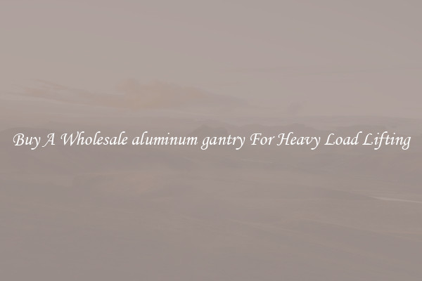 Buy A Wholesale aluminum gantry For Heavy Load Lifting