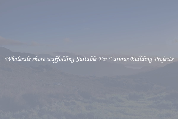 Wholesale shore scaffolding Suitable For Various Building Projects