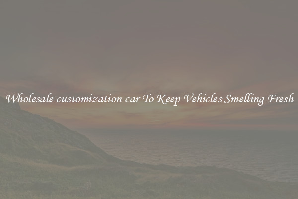 Wholesale customization car To Keep Vehicles Smelling Fresh