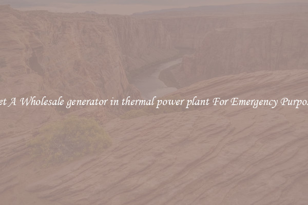 Get A Wholesale generator in thermal power plant For Emergency Purposes