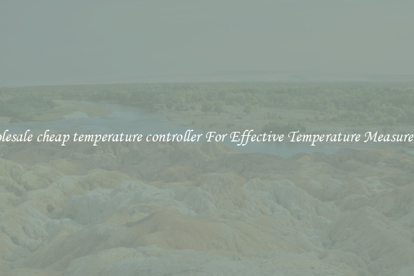 Wholesale cheap temperature controller For Effective Temperature Measurement
