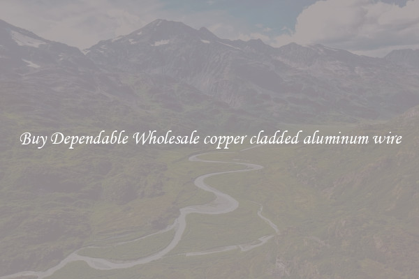 Buy Dependable Wholesale copper cladded aluminum wire