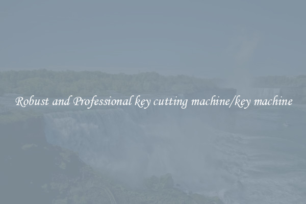 Robust and Professional key cutting machine/key machine