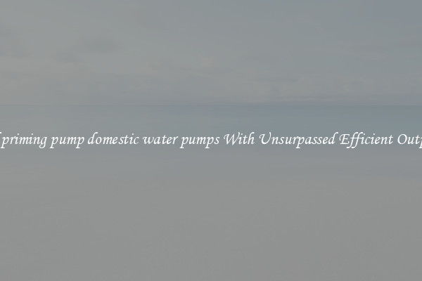 self priming pump domestic water pumps With Unsurpassed Efficient Outputs