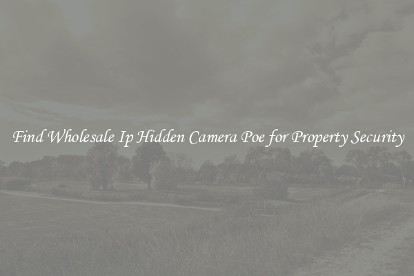 Find Wholesale Ip Hidden Camera Poe for Property Security