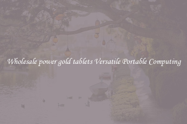 Wholesale power gold tablets Versatile Portable Computing