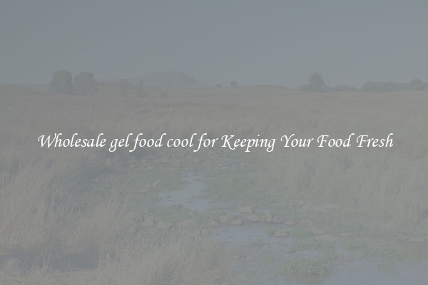 Wholesale gel food cool for Keeping Your Food Fresh