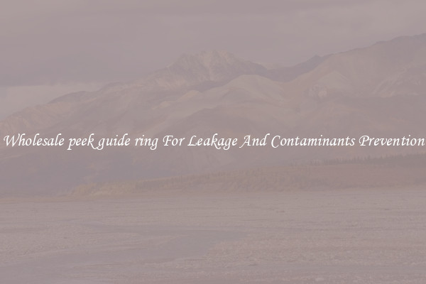 Wholesale peek guide ring For Leakage And Contaminants Prevention