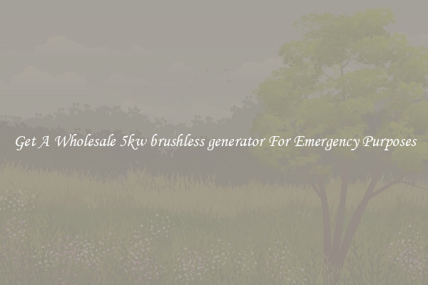 Get A Wholesale 5kw brushless generator For Emergency Purposes