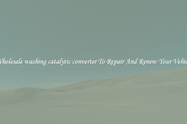 Wholesale washing catalytic converter To Repair And Renew Your Vehicle