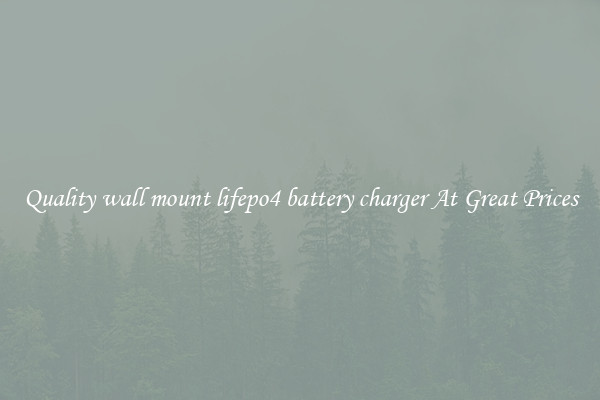 Quality wall mount lifepo4 battery charger At Great Prices