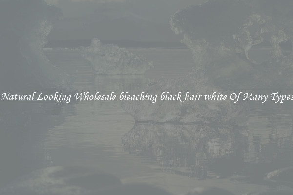 Natural Looking Wholesale bleaching black hair white Of Many Types