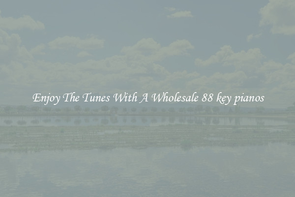 Enjoy The Tunes With A Wholesale 88 key pianos