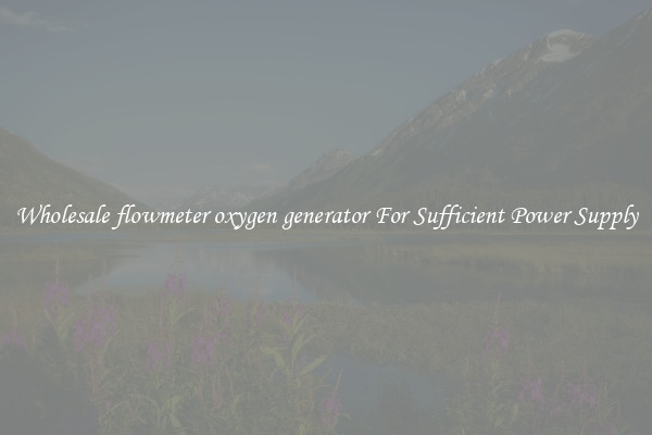 Wholesale flowmeter oxygen generator For Sufficient Power Supply